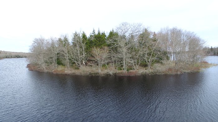 WentworthHalbinsel (65)